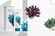 Ocean Nature Collection | Coral Pack, an Object Graphic by Lumeno (Thumbnail 3 of 10)