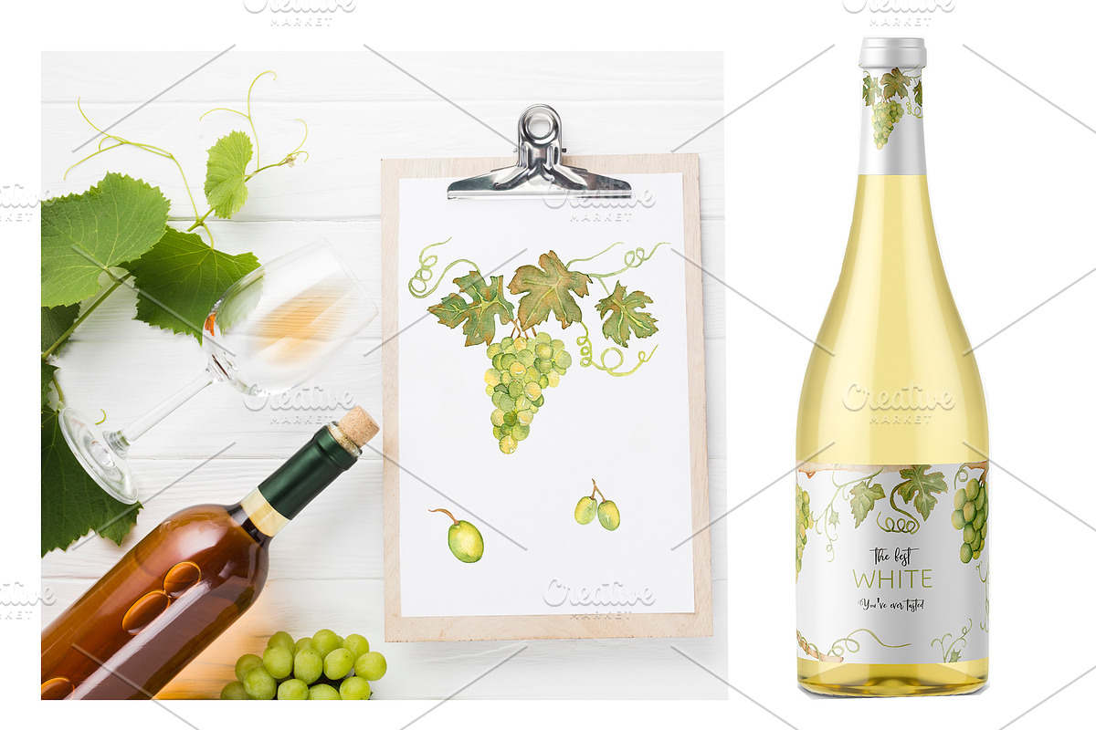 Watercolor Grapes, a Food Illustration by MayaNavits (Photo 2 of 15)