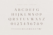 Meraki Font Duo + Logos, a Serif Font by Ivan Rosenberg (Thumbnail 10 of 15)
