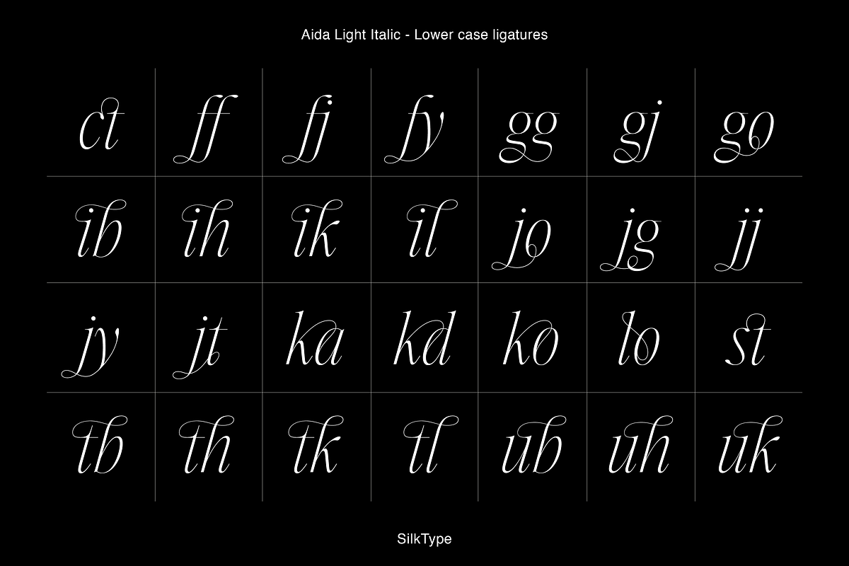Aida | 10 Font Ligature Serif, a Font by Silktype (Photo 18 of 20)