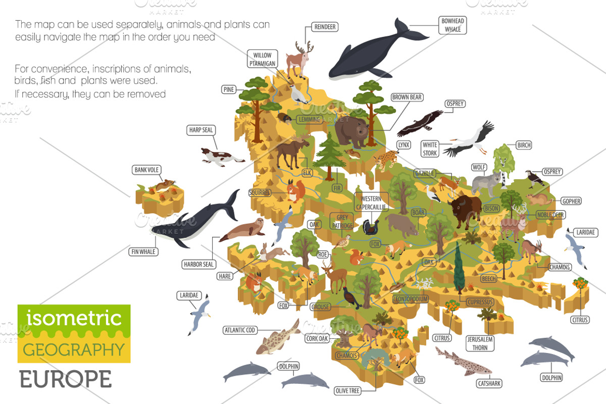 Europe isometric flora & fauna map, an Animal Illustration by pet design shop (Photo 3 of 5)
