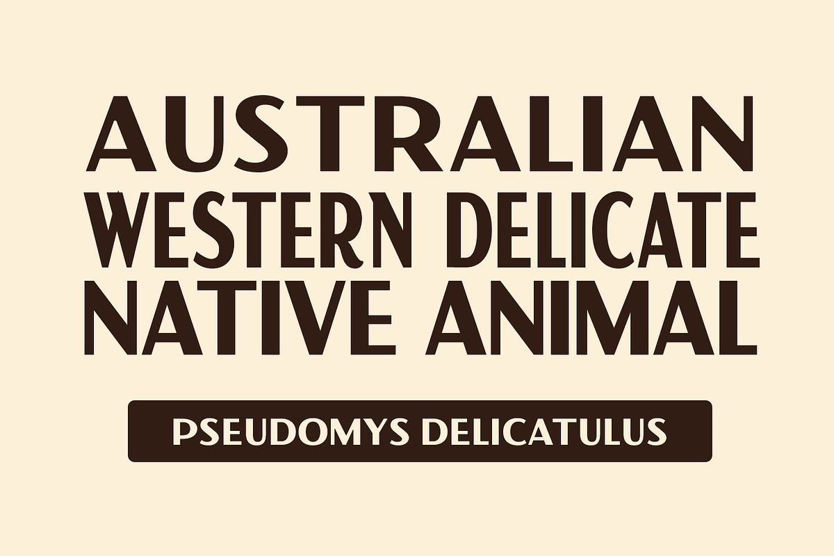 Montrose - Vintage Sans, a Sans Serif Font by Viswell (Photo 3 of 10)