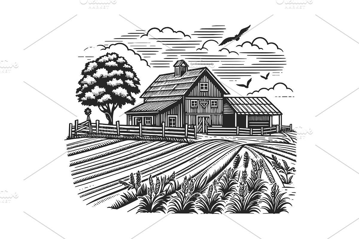 Rustic farm Landscape vector, an Object Illustration by AlexArt