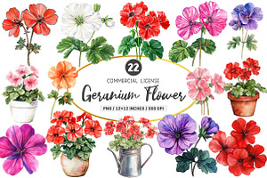 Geranium Flower Watercolor Clipart, an Illustration by SinaCreation