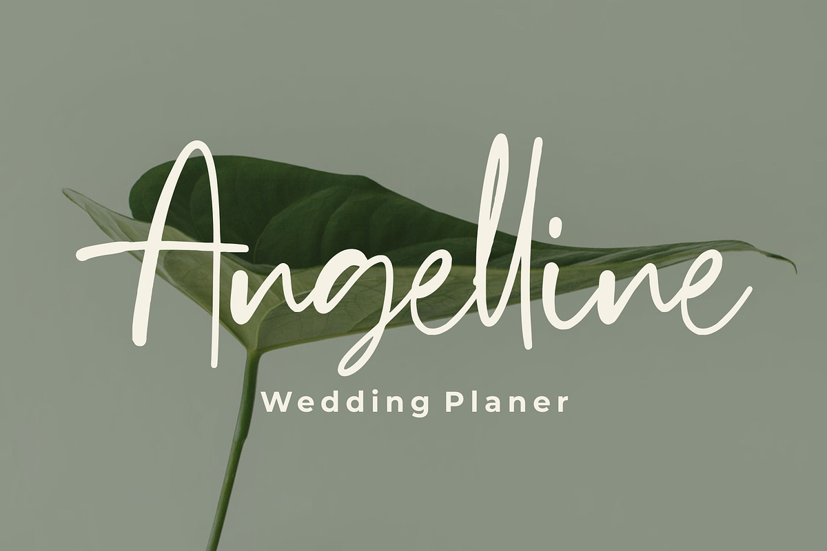 Newtoon - Handwritten Font, a Script Font by Good Java Studio (Photo 9 of 12)