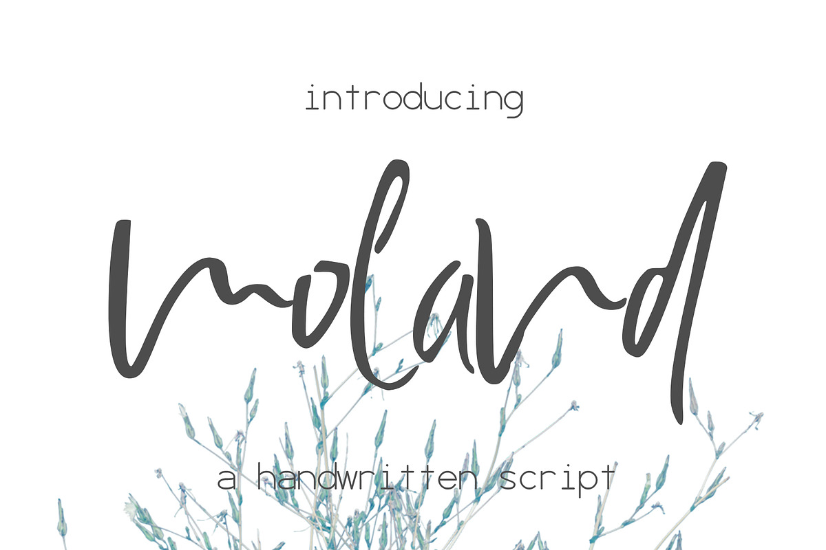 Moland Font