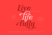 Ten Pounds, A Hand-Drawn Font, a Serif Font by Up Up Creative (Thumbnail 5 of 10)