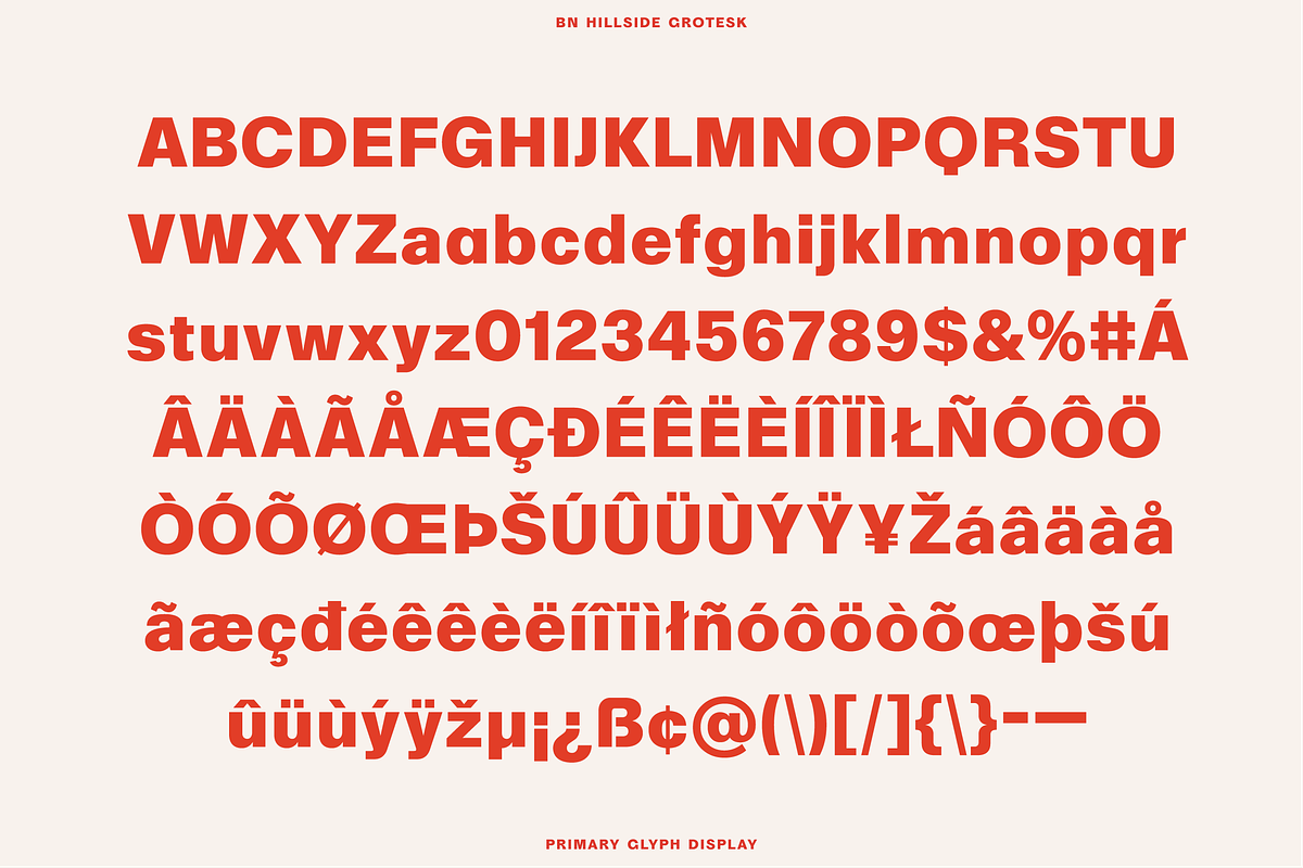 BN Hillside Grotesk, a Sans Serif Font by Bnick (Photo 14 of 14)