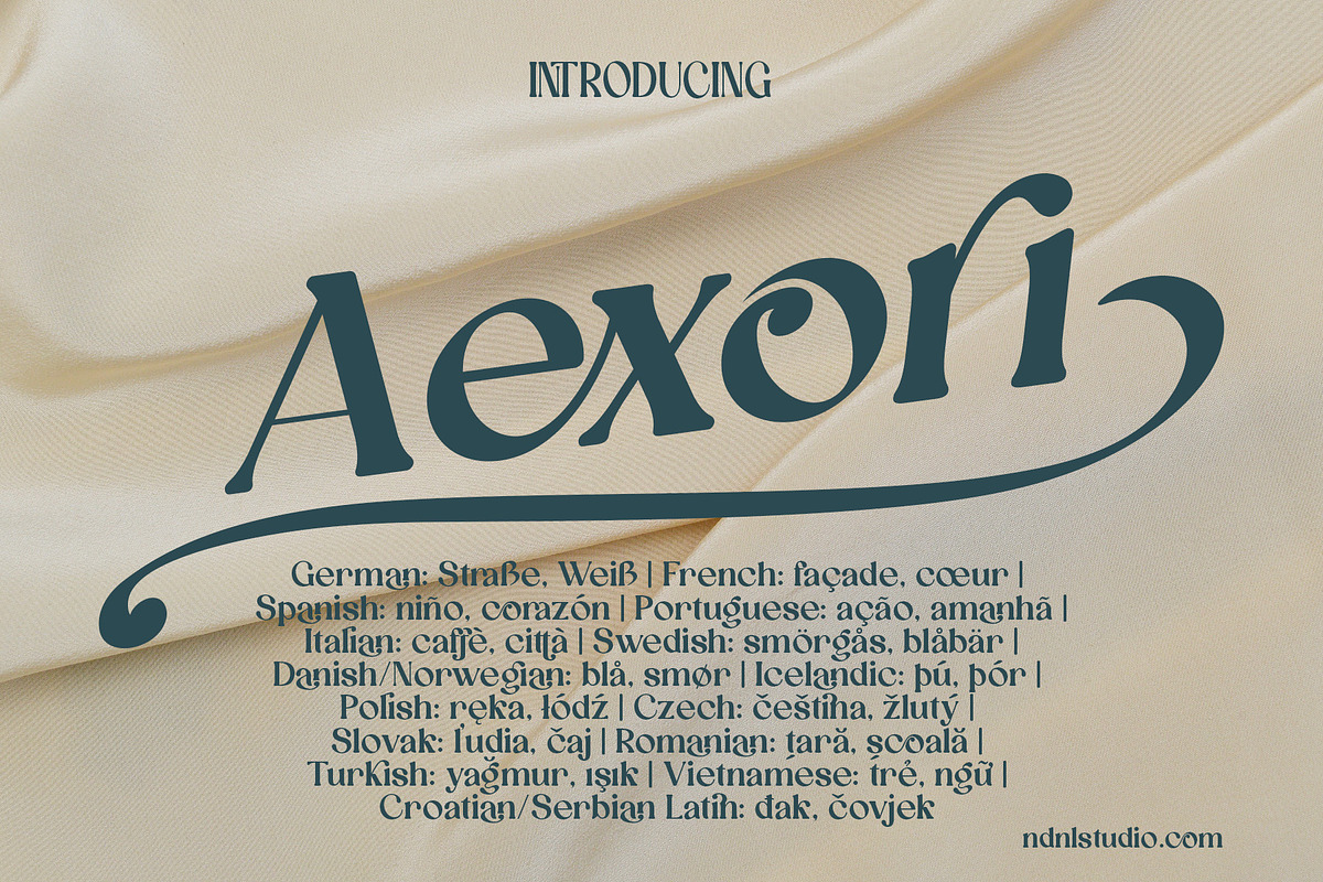 Aexori - Serif Font Family, a Serif Font by NDNL Studio (Photo 1 of 12)