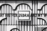GILDED | Neo Vintage 16-Font Family, a Sans Serif Font by Ckybe's Corner (Thumbnail 15 of 18)
