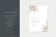 Floral Arrangements: Illustrations, an Illustration by Sarah Ann Design (Thumbnail 7 of 8)