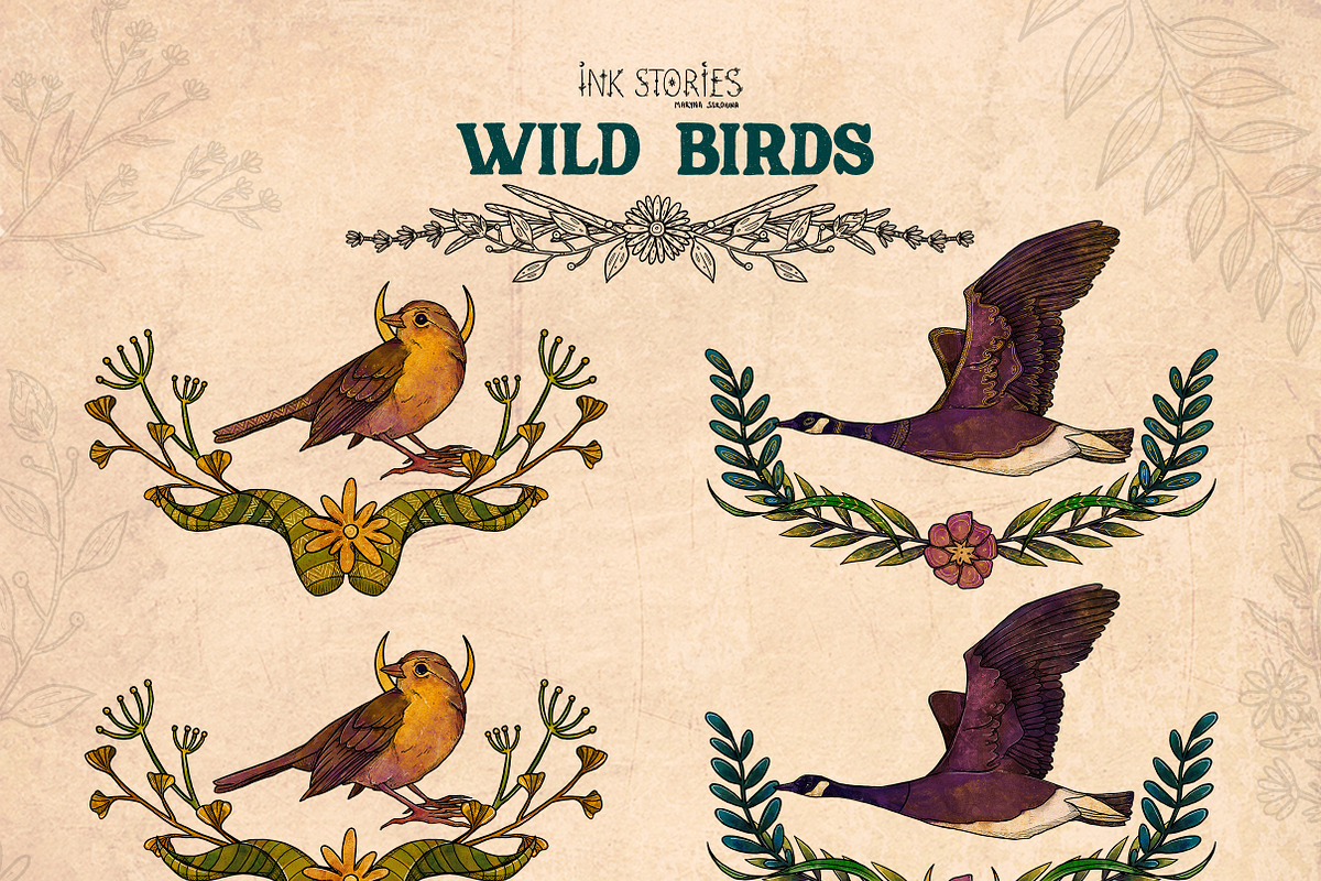 Wild Birds, an Animal Illustration by Ink Stories (Photo 11 of 20)
