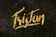 Tristan Brush Font + Bonus, a Script Font by Maulana Creative (Thumbnail 5 of 5)