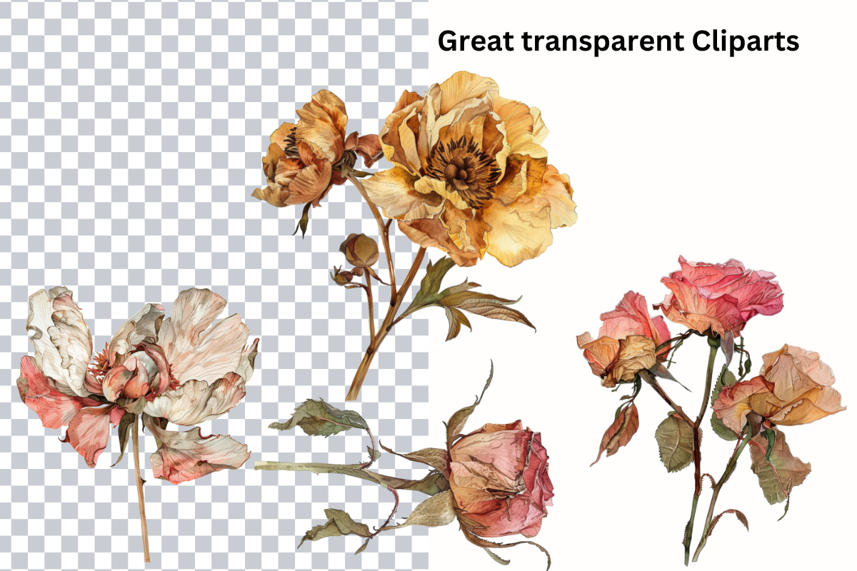 Dried Pressed Flowers Illustration, a Decorative Illustration by Paper Artsthetics (Photo 2 of 4)