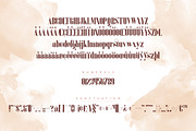 Inure - Serif Typeface + More, a Serif Font by VP Fonts (Thumbnail 9 of 11)