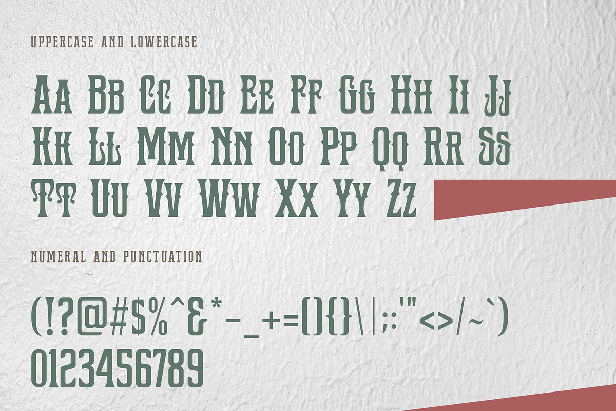 Bushcraft - A Serif Display Font, a Serif Font by overlaytemplates (Photo 4 of 5)