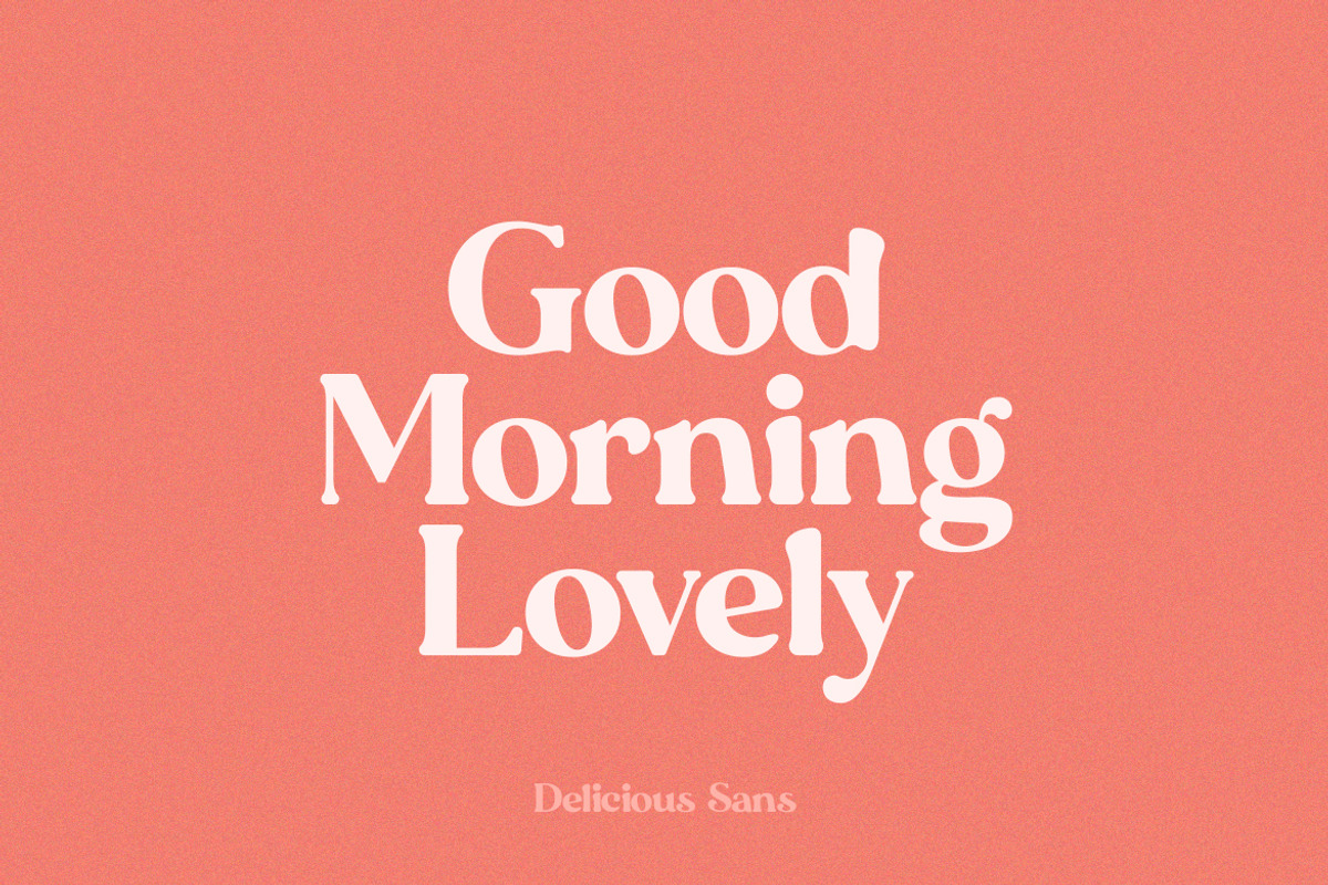 Delicious Sans Font preview 5
