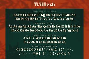 Williesh - Unique Display Serif