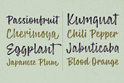 Lemonado, a Script Font by Mika Melvas (Thumbnail 6 of 9)