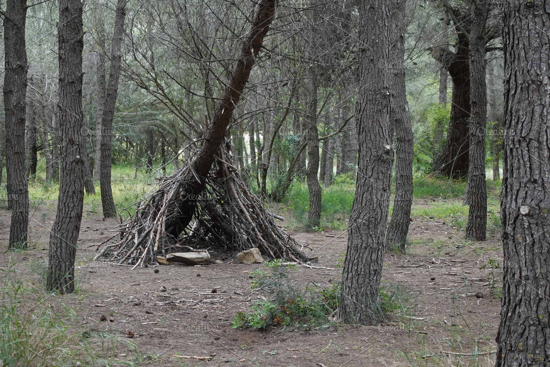tent shelter made from branches, a Nature Photo by sirylok