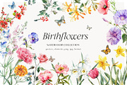 Watercolor Birthmonth florals Set, a Decorative Illustration by Grace Noboa Illustrations (Thumbnail 1 of 10)