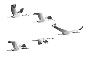 Characters Flight of Cranes Set.