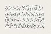 Figetress - Natural Signature, a Handwritten Font by tebaltipislab (Thumbnail 6 of 14)