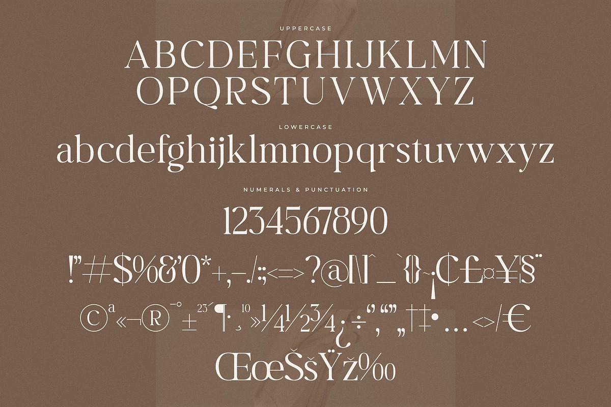 Begifta New Modern Serif Font, a Serif Font by Letterena Studios (Photo 13 of 15)