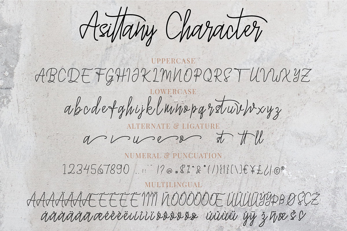 Asittany a monoline script font, a Script Font by Javatype Studio (Photo 11 of 11)