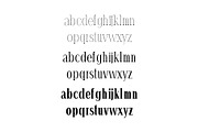 Hommer Minimal Serif Font Family, a Serif Font by Creativetacos (Thumbnail 3 of 5)