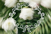 Delicate Flourish Frame Collection, an Object Graphic by PaperJamLab (Thumbnail 9 of 10)