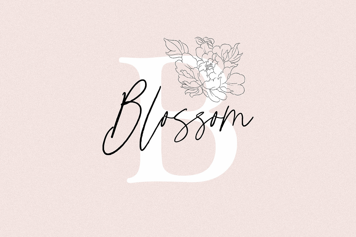 Pastell Script preview 8