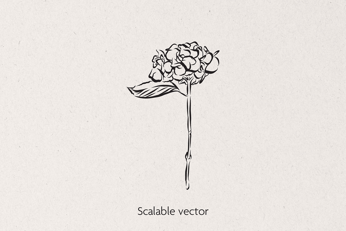 Flowers Vector Bundle, a Decorative Illustration by Little Gremlin (Photo 4 of 9)