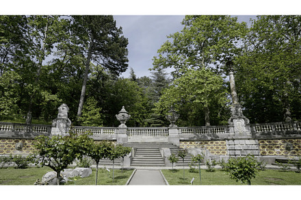 Sunny city green park with stairs, a Nature Photo by Media Whale Stock