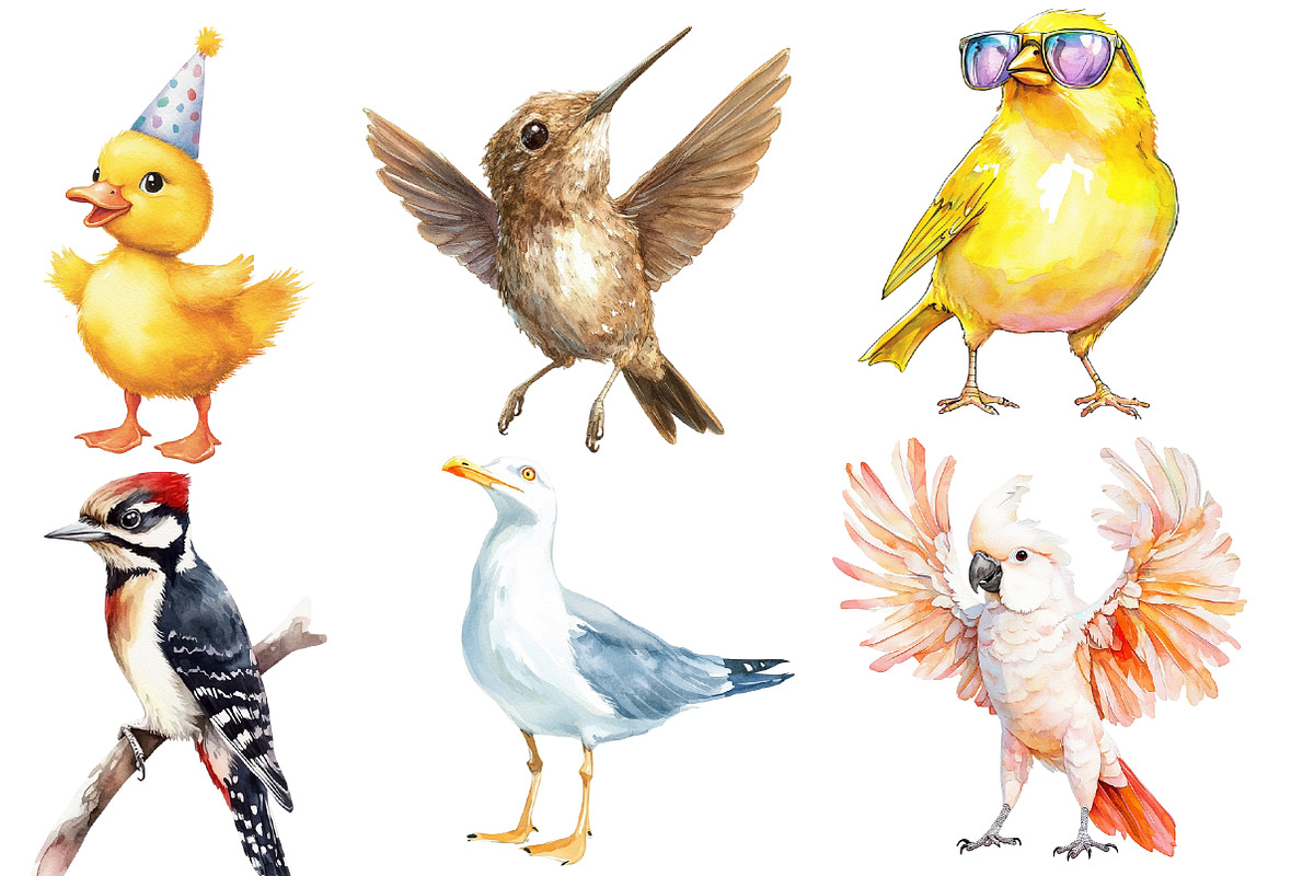 Watercolor bird Sublimation, an Illustration by Designworld (Photo 2 of 6)