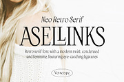 Asel Links - Neo Retro Serif, a Serif Font by Versetype (Thumbnail 1 of 12)