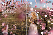 PINK Rose Petals photo overlays, an Object Graphic by 2SUNS (Thumbnail 6 of 9)