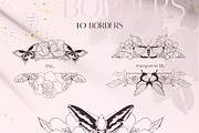 MOTHS & BUTTERFLIES illustration set, an Animal Illustration by Yuliia Lashevska (Thumbnail 8 of 13)