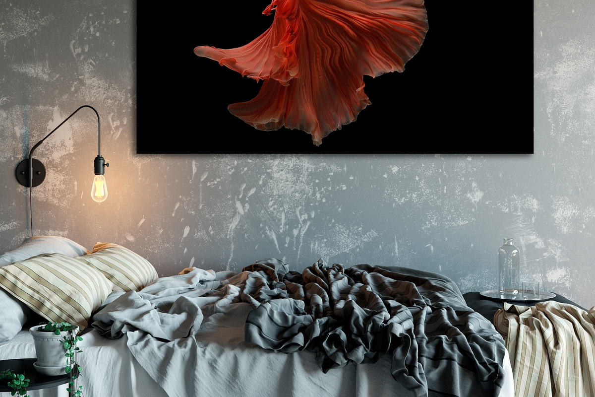 100 Photos of The Siamese Betta fish, an Animal Photo by coffeelover (Photo 6 of 12)