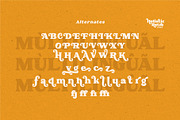 Holistic Retro – Bold Serif Font, a Serif Font by Salamahtype (Thumbnail 8 of 8)