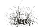 Skull, an Object Graphic by ArtOwl (Thumbnail 10 of 10)