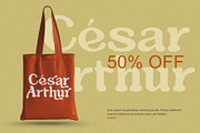 Aloevera - Modern Retro Serif, a Serif Font by Salamahtype (Thumbnail 4 of 10)