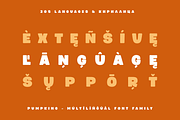 Pumpking Friendly Typeface, a Sans Serif Font by alpercakici (Thumbnail 3 of 17)