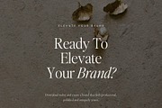 Editable Canva Logo Templates, a Branding & Logo Template by Adam and Grace (Thumbnail 26 of 26)