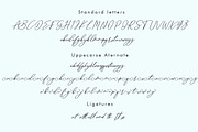 Sottalica, a Script Font by mightype (Thumbnail 8 of 9)