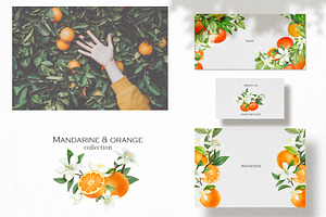 Mandarine & Orange