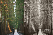 201 Wedding Lightroom Presets Bundle, an Action Add-On by PixelHive Pro (Thumbnail 6 of 33)