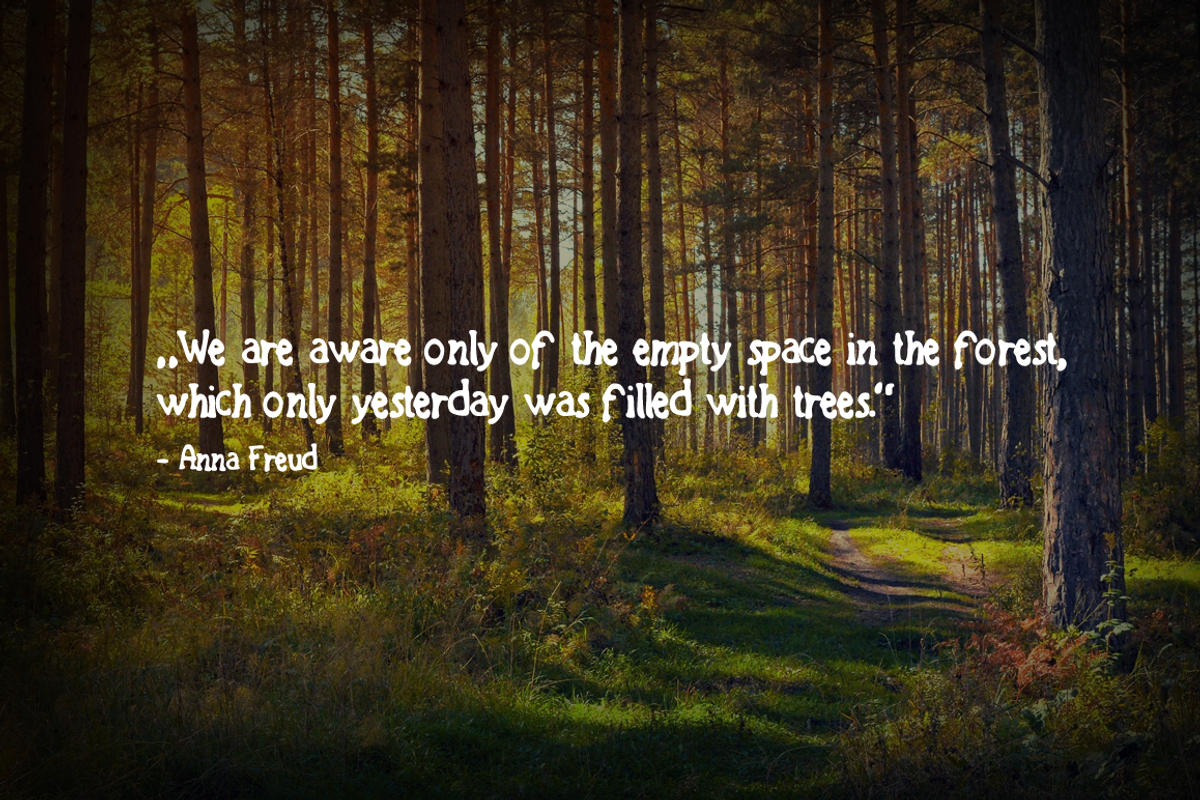 Forest Tales Type preview 2
