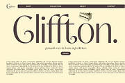 Natasha Elegant Serif, a Serif Font by Luna Shop (Thumbnail 8 of 10)
