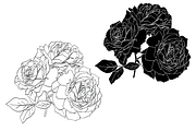 Bunch of Roses, an Object Graphic by VictoriaKStudio (Thumbnail 3 of 8)